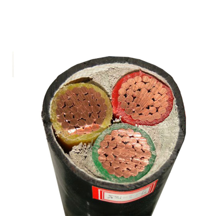 Kas yra varinis maitinimo kabelis su 3 gyslomis?